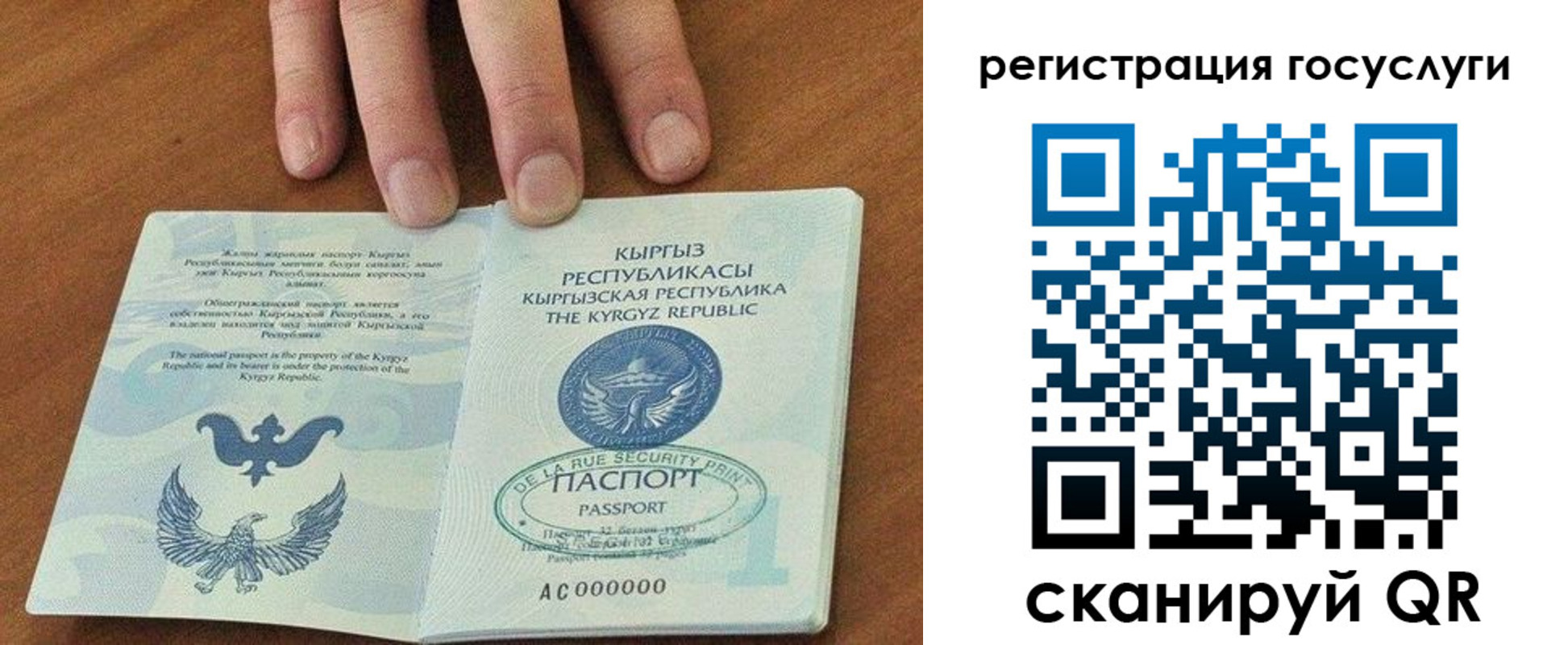 прописка ребенка в Тосно